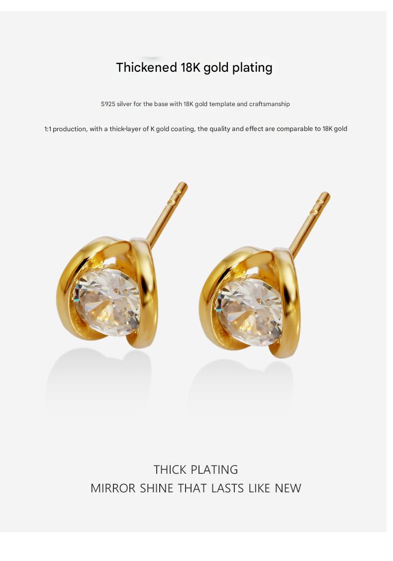 High-end niche temperament women's earrings